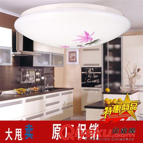 現(xiàn)代吸頂燈 陽臺(tái)燈 PCV燈罩 LED客廳花燈 燈具印花燈過道燈原始圖片2