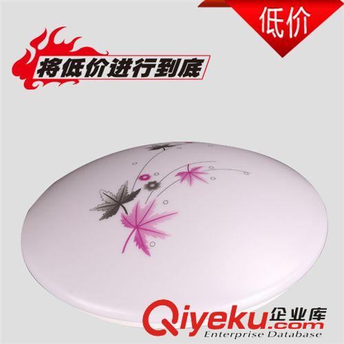 現(xiàn)代吸頂燈 陽臺(tái)燈 PCV燈罩 LED客廳花燈 燈具印花燈過道燈原始圖片3
