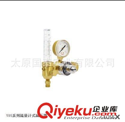 捷銳 194C 電加熱二氧化碳減壓器