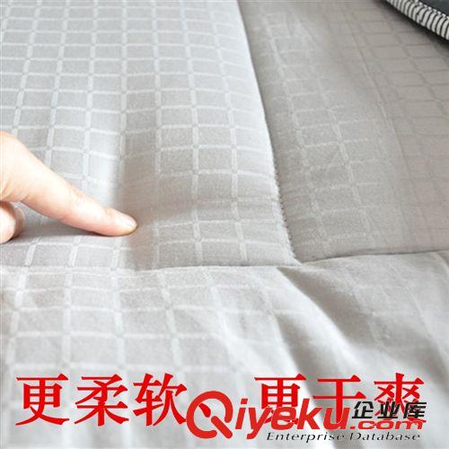 碧巖2014新款含竹炭防臭防潮釋放遠紅外助睡眠床上用品柔軟床墊原始圖片3