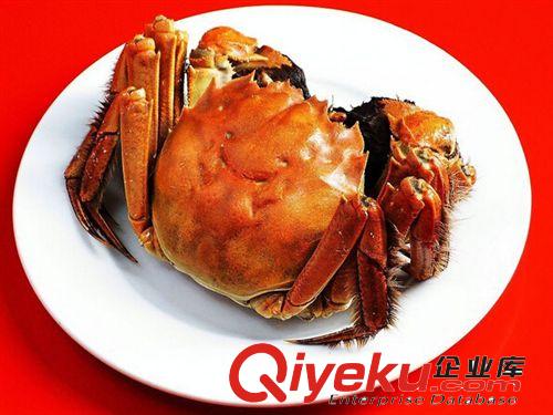 zz昆山陽澄湖大閘蟹禮品券蟹世界至臻精品禮券1088型6只裝