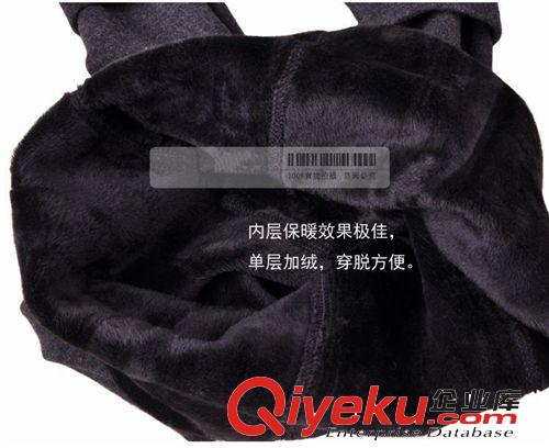 冬季男打底褲加絨加厚貼身緊身打底褲褲單層精梳棉打底褲批發(fā)原始圖片3