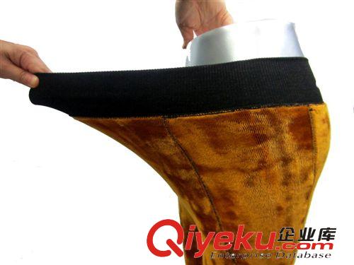 義烏新款加絨加厚打底褲黃金甲絨七彩棉打底褲加肥加大保暖褲批發原始圖片3