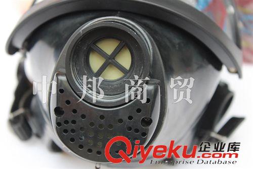 熱賣唐人TF-6D型大視野過濾式防毒面具原始圖片2
