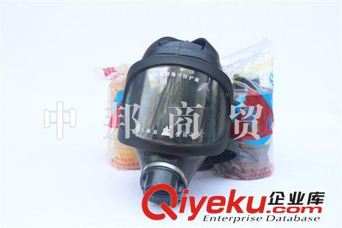 熱賣唐人TF-6D型大視野過濾式防毒面具原始圖片3