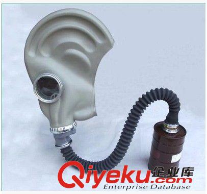 zp唐人全面具 過濾式防毒面具 zyjl 歡迎咨詢原始圖片2