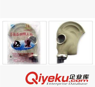 zp唐人全面具 過濾式防毒面具 zyjl 歡迎咨詢原始圖片3