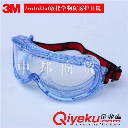 熱賣安全防護眼鏡 3M1623A防化學物防霧護目鏡原始圖片2