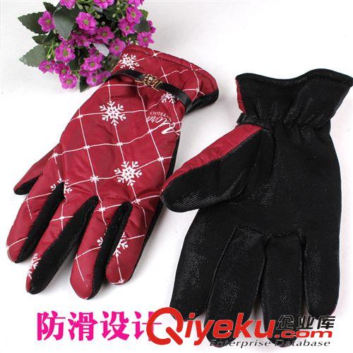 新品上市 秋冬女士保暖加厚精品皮手套 時尚戶外雪花騎行手套批發原始圖片2