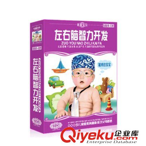 廠家直銷 廠家代發 兒童早教 左右腦智力開發10DVD-QQBB