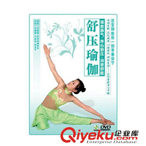 京凰百科 大眾社區(qū)節(jié)日舞--中華全家福 DVD