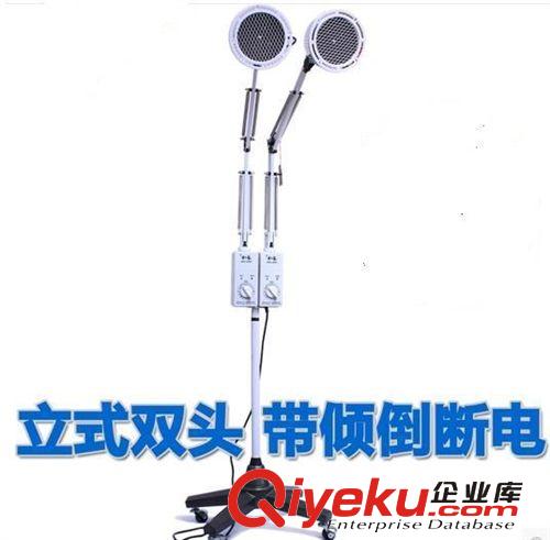 華倫TDP 立式雙頭zl器/神燈/雙頭烤燈