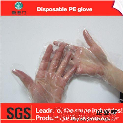 [嘉湛力]一次性手套，一次性防油手套批發(fā)，食品用薄膜手套原始圖片3