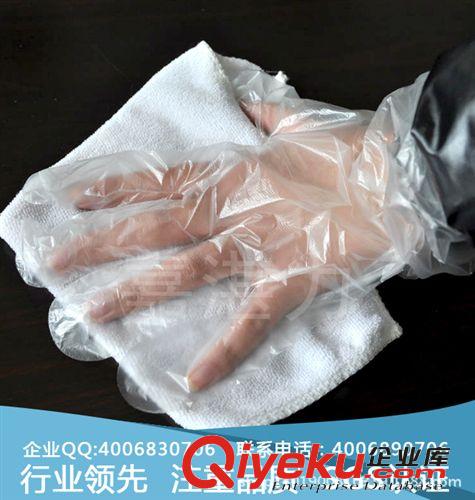 餐廳飯店美容使用PE手套，一次性食品手套原始圖片2