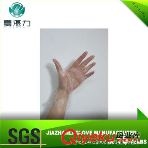 廠家供應CPE一次性薄膜手套 磨砂型手套 食品衛生作手套原始圖片2
