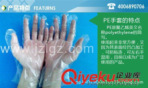 一次性薄膜手套 CPE一次性手套 醫(yī)用檢查手套 一次性塑料手套