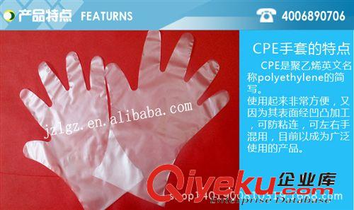 供應批發一次性PO薄膜手套 食品安全衛生使用PE手套