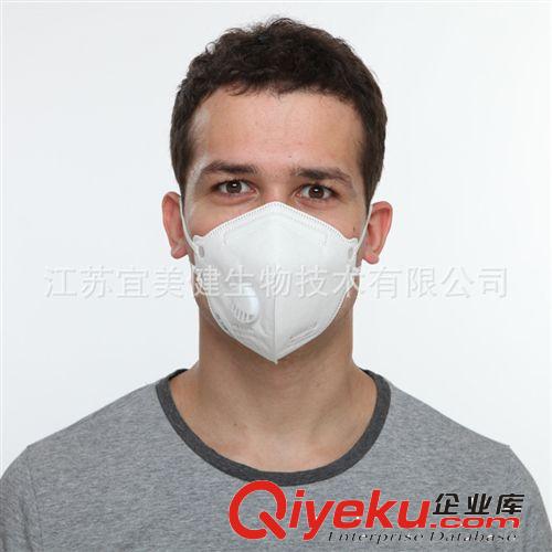 PM2.5口罩一次性立體折疊呼吸閥口罩防霧霾廠家直銷