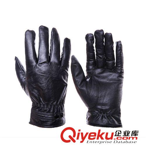 廠家直銷新款綿羊皮手套 zp小綿羊皮質(zhì)手套可水洗 保暖耐磨原始圖片3