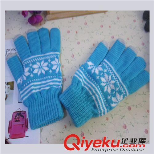廠家直銷(xiāo) 批發(fā)冬季保暖帶觸屏功能手套 男女款冬季熱銷(xiāo)手套原始圖片3