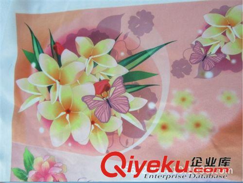 3D數(shù)碼打印機(jī)；各種平面材質(zhì)一次成像；色彩牢固；數(shù)碼打印機(jī)原始圖片3