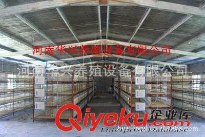 華興自動化蛋雞舍方案規劃|肉雞舍方案|自動層疊蛋雞肉雞舍方案