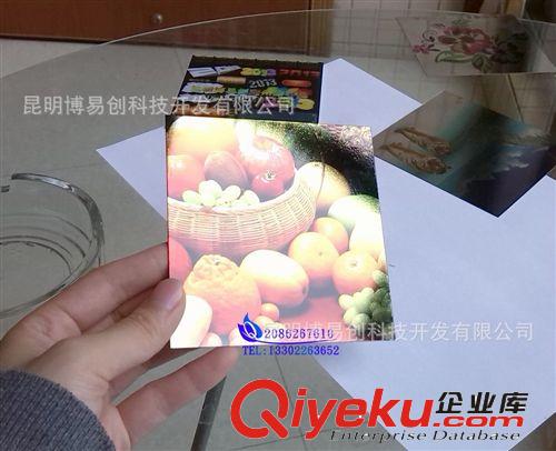 博易創金屬標牌打印機 金屬禮品/工藝品數碼印花機 平板打印機原始圖片2