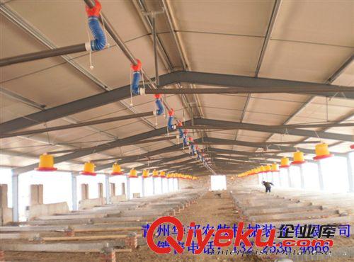 鴨用自動(dòng)化上料系統(tǒng) 鴨料線 養(yǎng)鴨自動(dòng)化設(shè)備 {sx}青州華邦