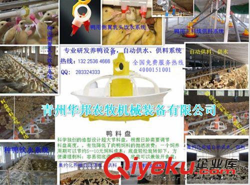 養(yǎng)鴨料線 養(yǎng)鴨自動(dòng)化上料系統(tǒng) 鴨料盤(pán) 廠家直銷(xiāo) 青州華邦原始圖片2