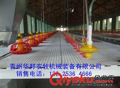 供應(yīng)雞鴨用塑料網(wǎng) 平養(yǎng)用網(wǎng)床 塑料軟網(wǎng) 家禽塑料養(yǎng)殖設(shè)備