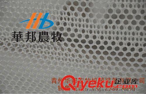 供應(yīng)雞鴨用塑料網(wǎng) 平養(yǎng)用網(wǎng)床 塑料軟網(wǎng) 家禽塑料養(yǎng)殖設(shè)備原始圖片2