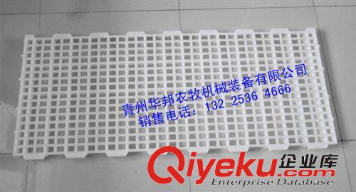 優質雞地板供應商，山東塑料地板生產廠家-青州華邦原始圖片2