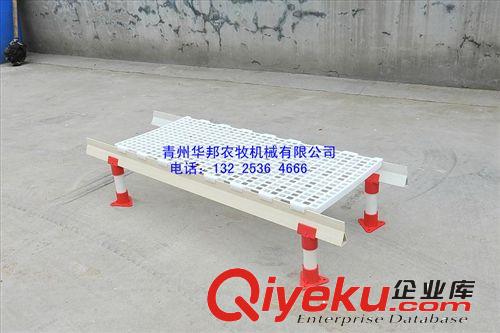 優質雞地板供應商，山東塑料地板生產廠家-青州華邦原始圖片3