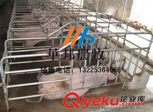 養(yǎng)豬料線 養(yǎng)豬設(shè)備 新型養(yǎng)殖設(shè)備 豬場(chǎng)自動(dòng)化料線 {sx}青州華邦原始圖片2