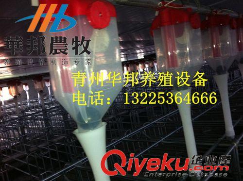 青州華邦專業(yè)生產(chǎn)養(yǎng)豬設(shè)備 養(yǎng)豬料線 豬用自動化料線