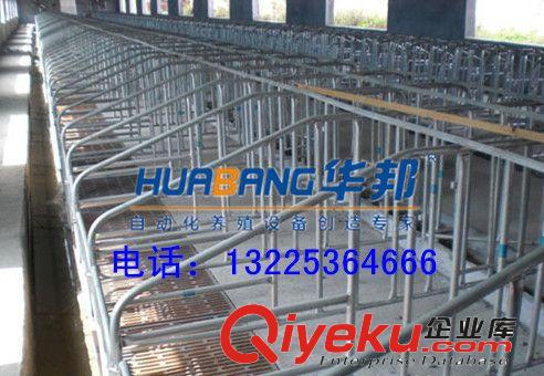 華邦供應養(yǎng)豬設備 豬用限位欄 養(yǎng)豬自動喂料系統(tǒng)原始圖片2