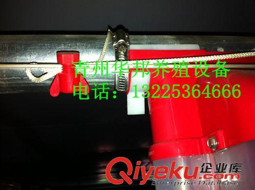 華邦供應(yīng)養(yǎng)豬設(shè)備 養(yǎng)豬料線計(jì)量杯 養(yǎng)豬定量杯 13225364666原始圖片2