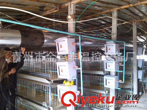 肉雞舍供暖設備 大空間供暖，新式養殖設備，{sx}金恒豐供暖