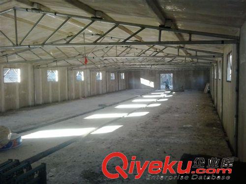 天俊畜牧工程有限公司 專業建造肉雞 蛋雞 豬 保溫畜牧舍