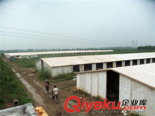公司長(zhǎng)期供應(yīng)優(yōu)質(zhì)耐用保溫板 養(yǎng)殖場(chǎng)專用{gx}保溫板