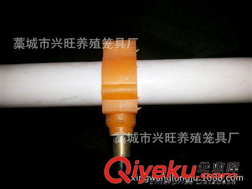 廠家批發(fā)優(yōu)質(zhì)自動(dòng)飲水器小兔飲水器兔子飲水器兔用飲水設(shè)備用品原始圖片2