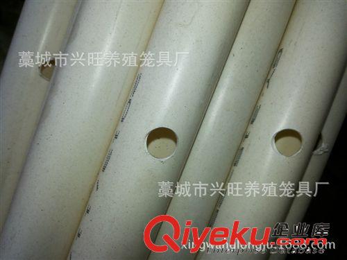 廠家批發(fā)優(yōu)質(zhì)自動(dòng)飲水器小兔飲水器兔子飲水器兔用飲水設(shè)備用品原始圖片3