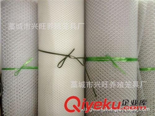 大量批發(fā)塑料平網(wǎng)  養(yǎng)殖網(wǎng) 塑料網(wǎng) 養(yǎng)殖塑料網(wǎng) 隔離網(wǎng) 養(yǎng)雞網(wǎng)網(wǎng)片原始圖片2