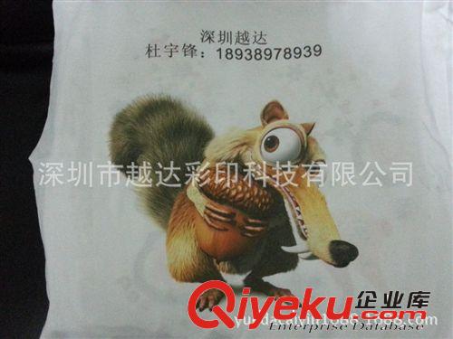 供應(yīng)情侶T恤彩色印花機(jī) 衣服數(shù)碼{wn}印花機(jī)廠家 布料印花機(jī)型號(hào)原始圖片3