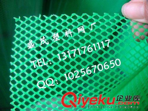 廠家生產(chǎn)養(yǎng)雞塑料網(wǎng)|養(yǎng)鴨塑料網(wǎng)|養(yǎng)殖塑料網(wǎng)|塑料養(yǎng)殖網(wǎng)原始圖片3