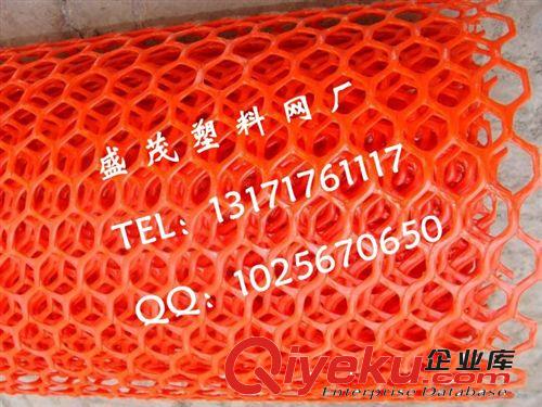 廠家生產(chǎn)塑料網(wǎng)|1.5m寬塑料網(wǎng)|白色塑料網(wǎng)|養(yǎng)雞塑料網(wǎng)原始圖片2