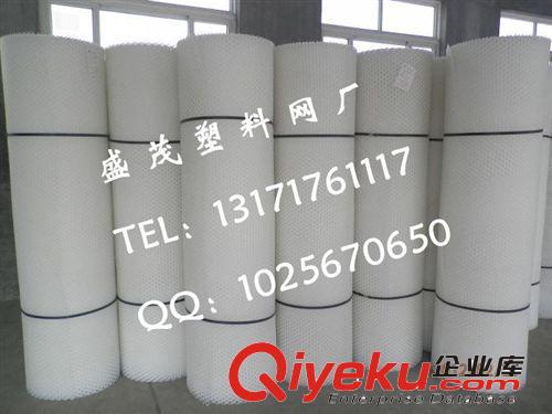 廠家生產(chǎn)塑料網(wǎng)|1.5m寬塑料網(wǎng)|白色塑料網(wǎng)|養(yǎng)雞塑料網(wǎng)原始圖片3