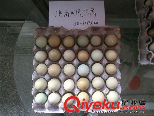 【南山龍鳳】批發(fā)雞蛋山雞蛋野雞蛋（健康營(yíng)養(yǎng)）原始圖片2