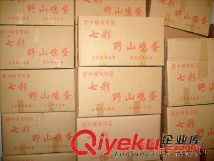 【南山龍鳳】供應七彩山雞，成品公雞，量大優惠