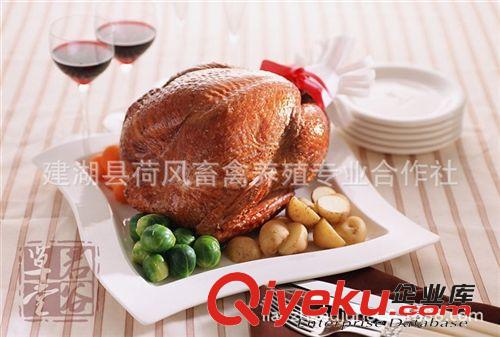 家養(yǎng)火雞 散養(yǎng)火雞火雞肉 yq補(bǔ)脾、jf食品 3斤起售